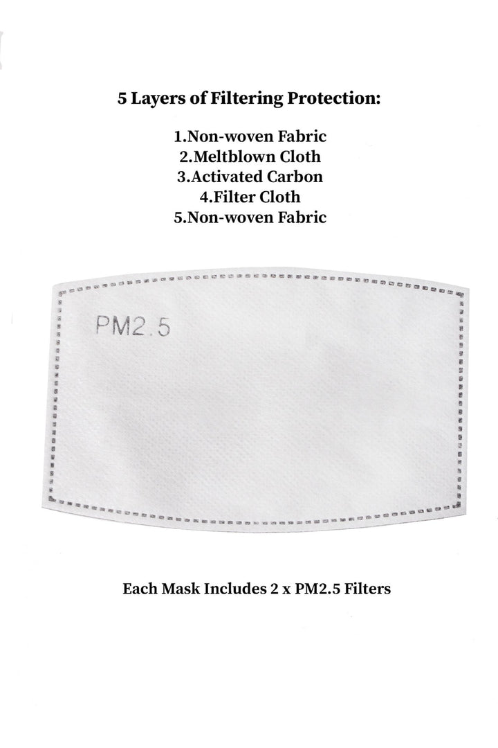 Pack of PM 2.5 Filter for Face Masks