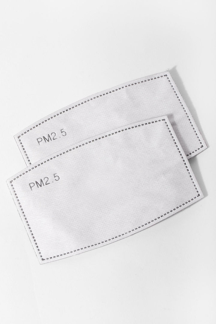 Adjustable Solid Face Mask with Two PM2.5 Filters