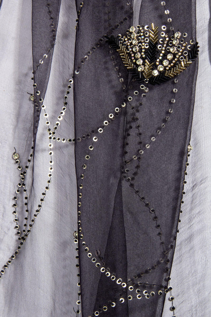 Organza Embellished Scarf