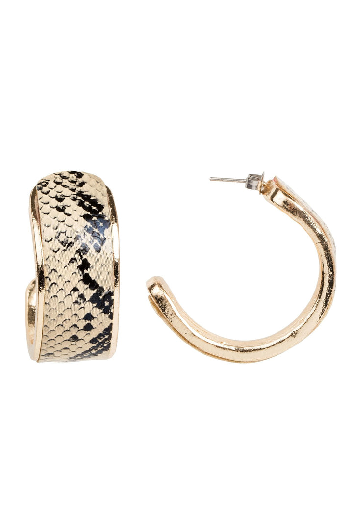 Wild About Hoops