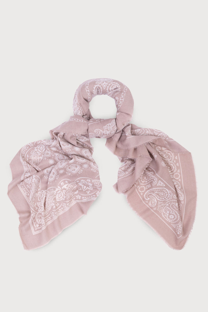 Paisley Border Fringe Scarf