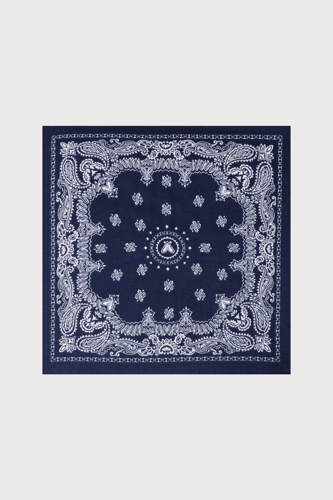 Paisley Border Fringe Scarf