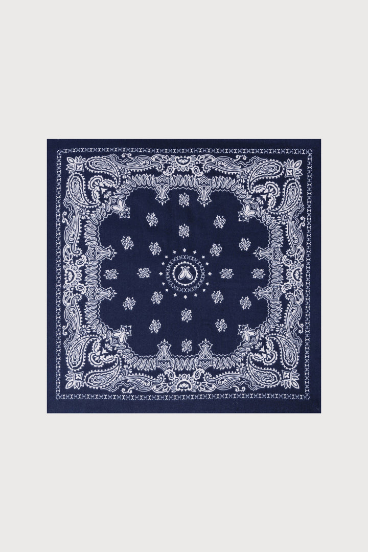 Paisley Border Fringe Scarf