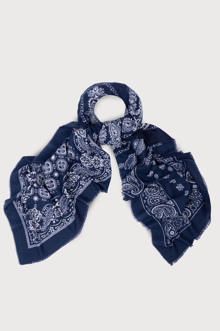 Paisley Border Fringe Scarf