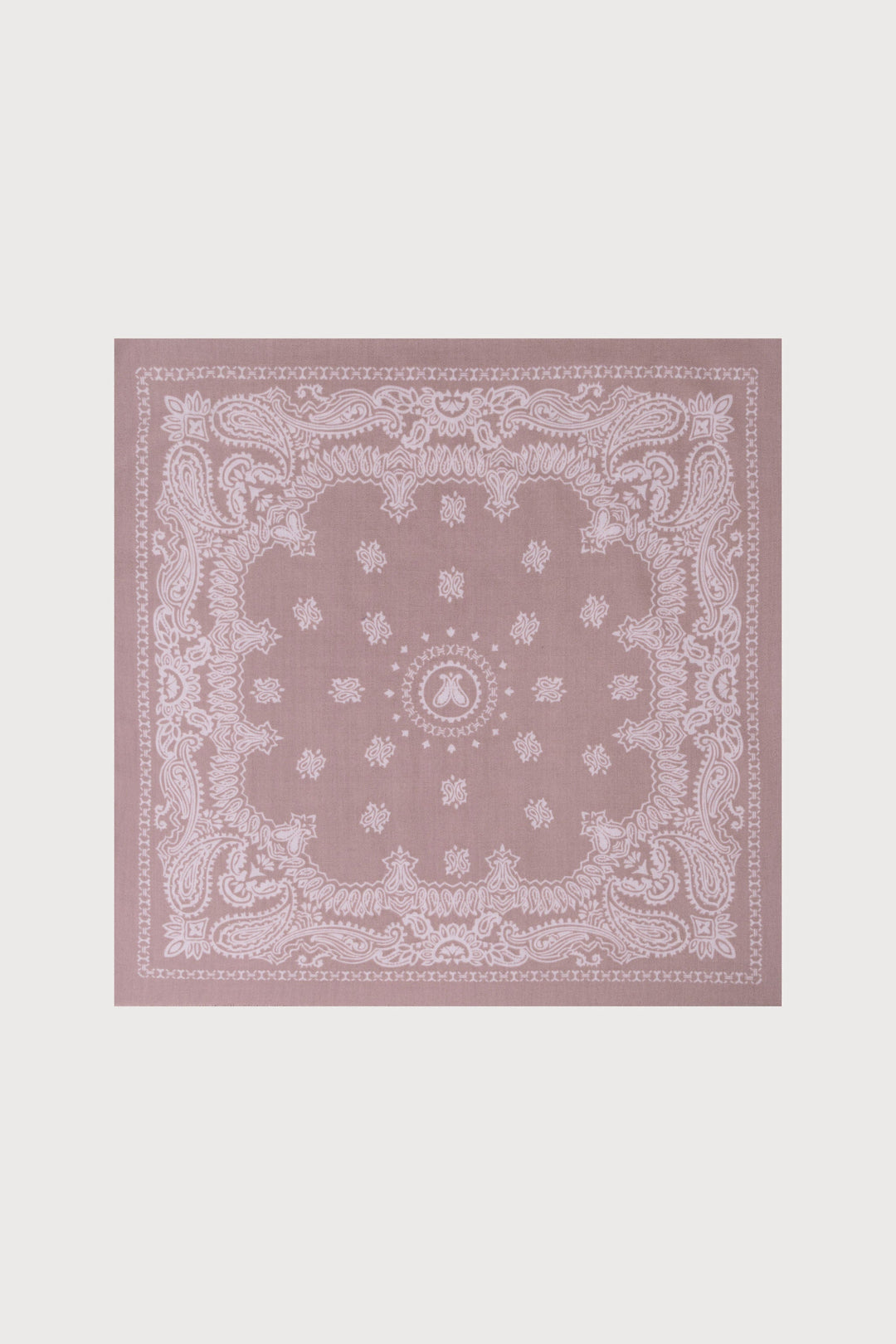 Paisley Border Fringe Scarf