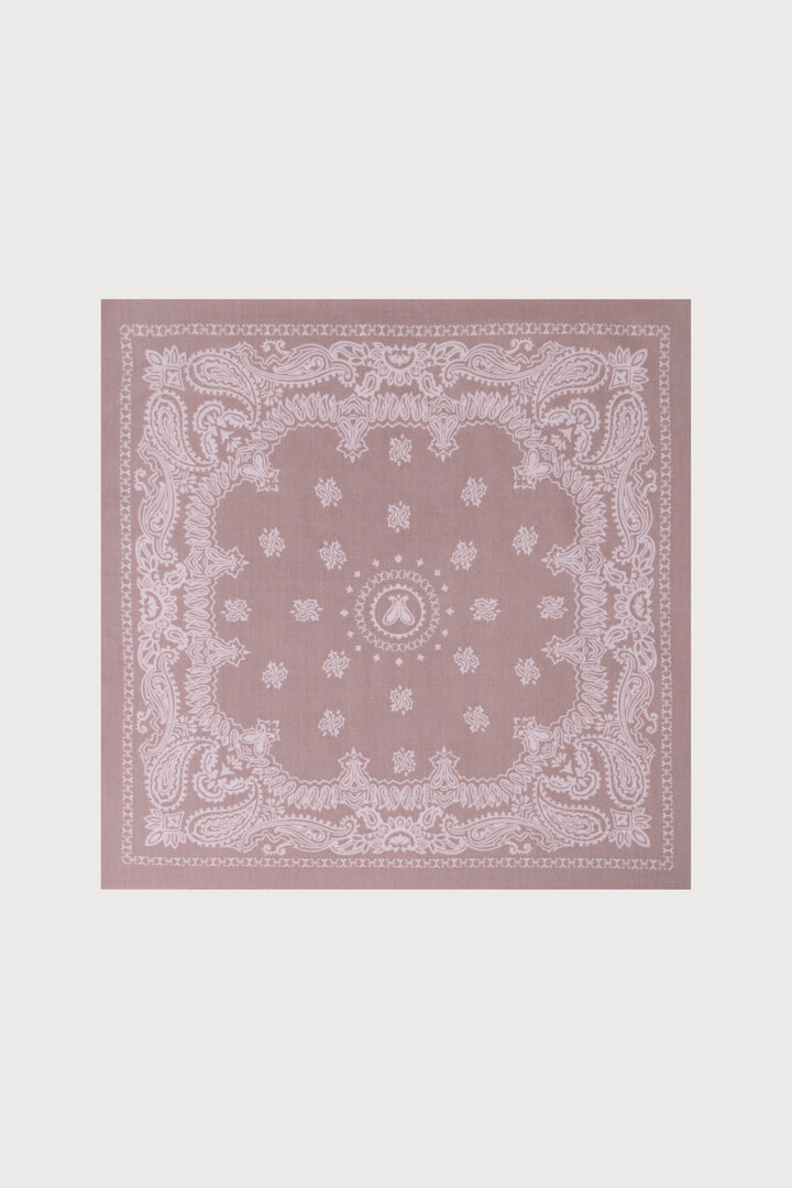 Paisley Border Fringe Scarf