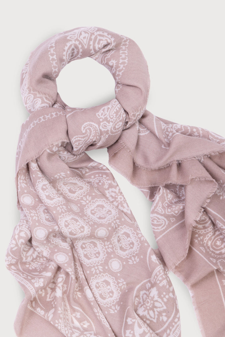 Paisley Border Fringe Scarf