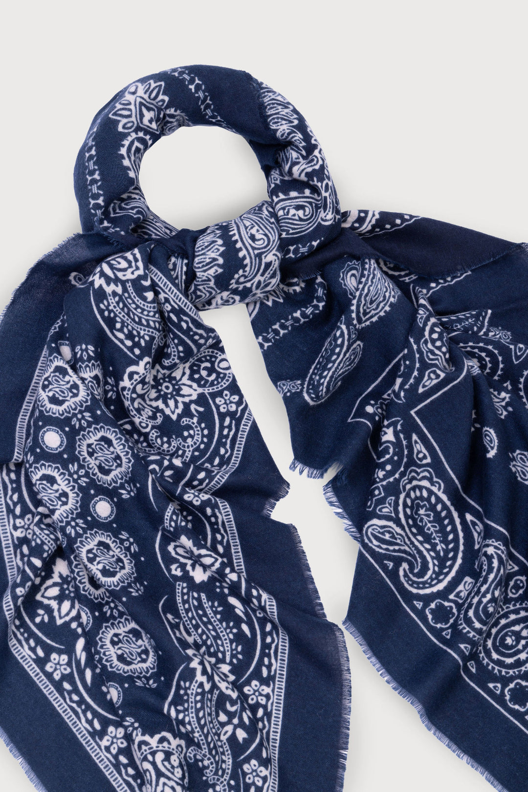 Paisley Border Fringe Scarf