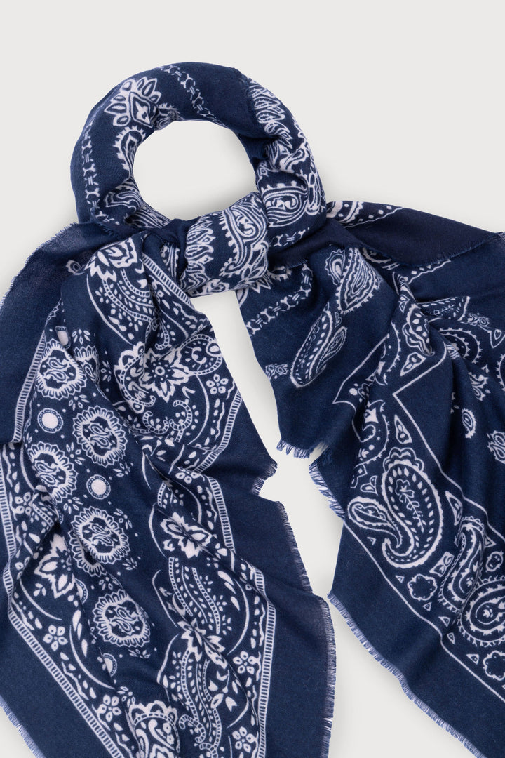Paisley Border Fringe Scarf