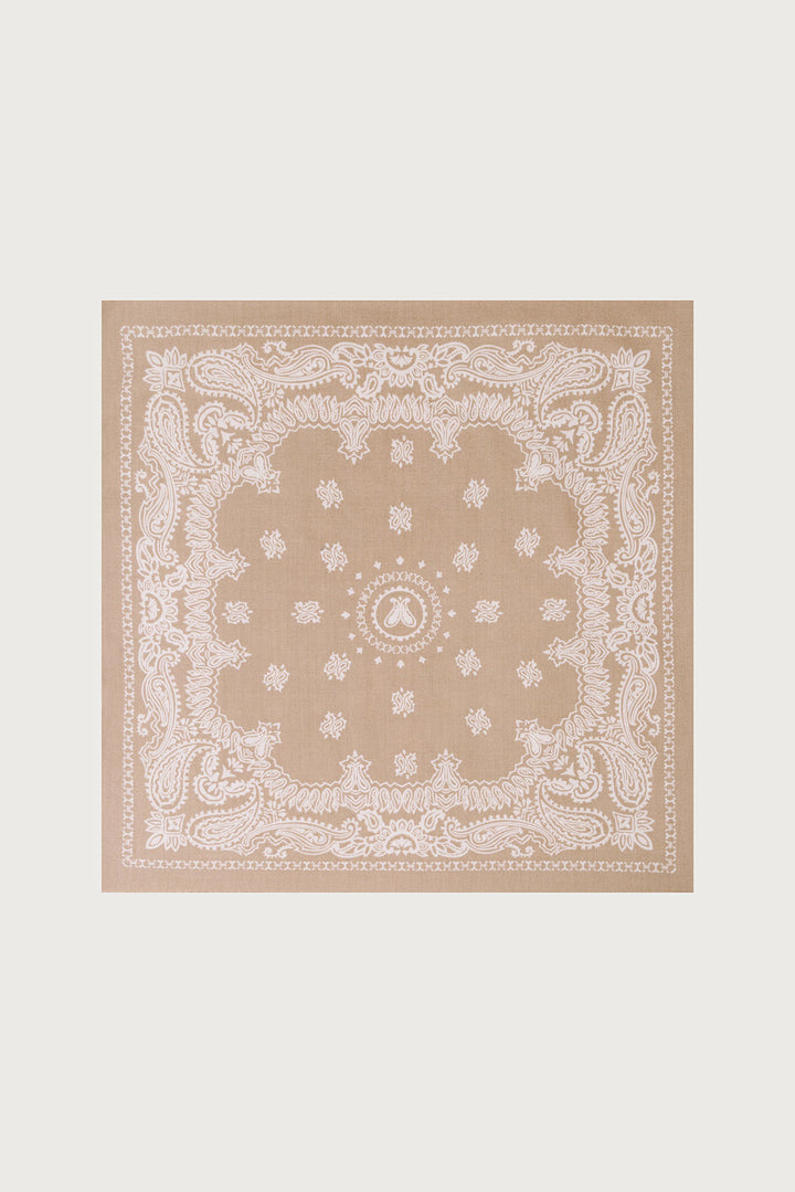 Paisley Border Fringe Scarf