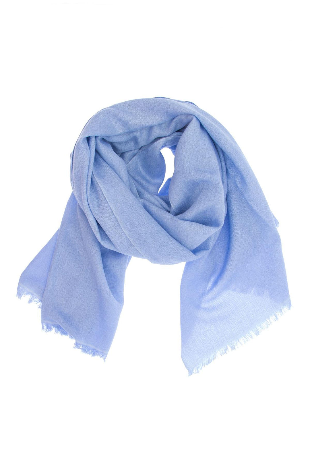 Cashmere A Silk Scarf