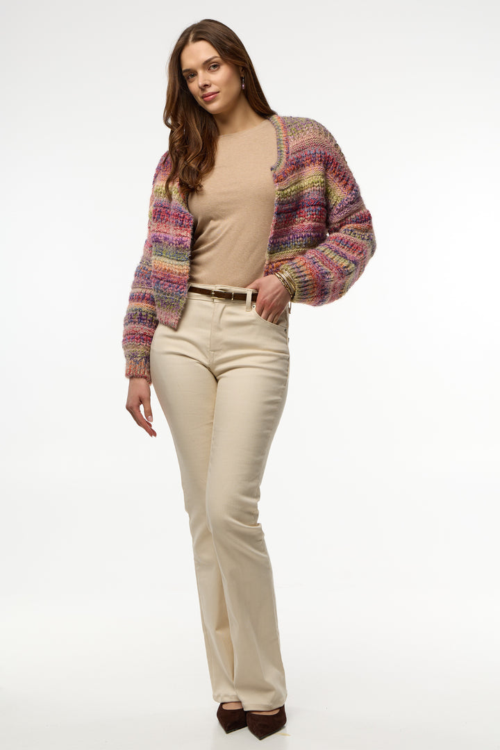 Multicolored Crop Knit Cardigan