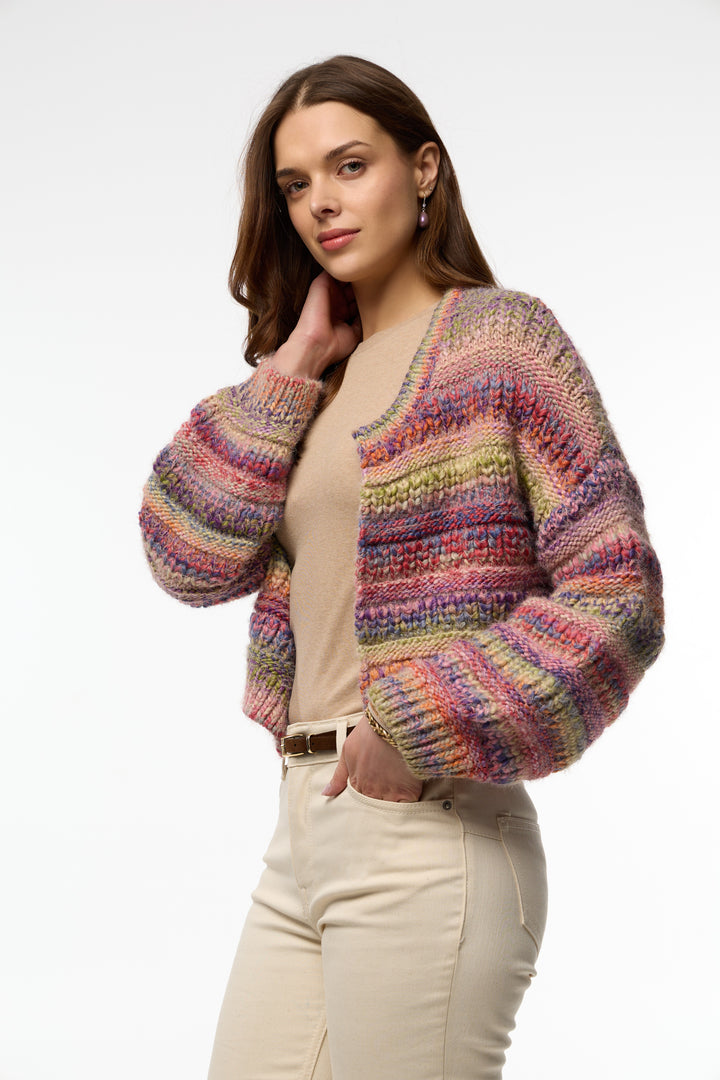 Multicolored Crop Knit Cardigan