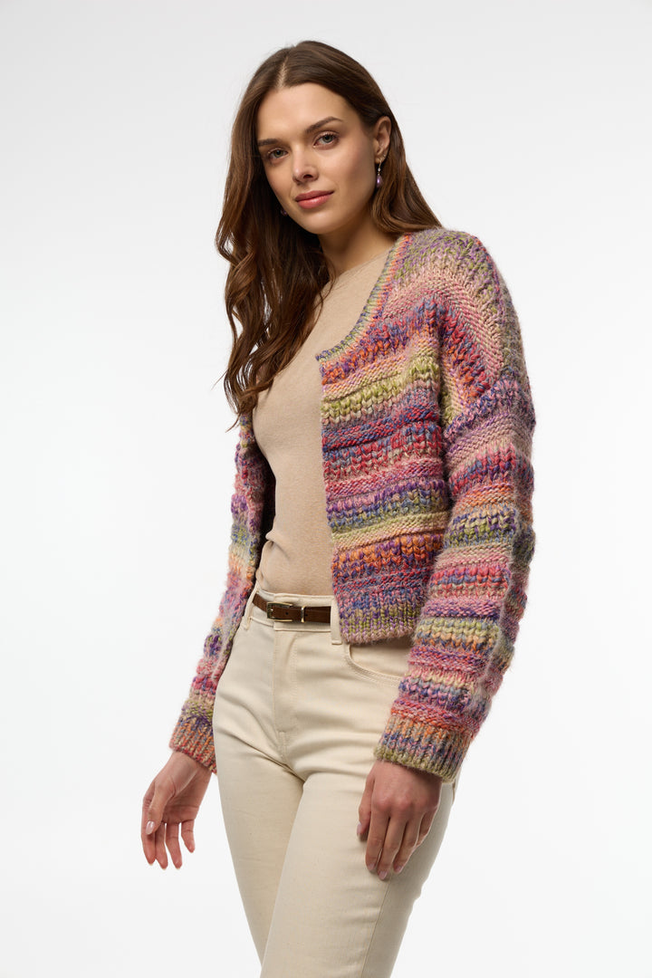 Multicolored Crop Knit Cardigan