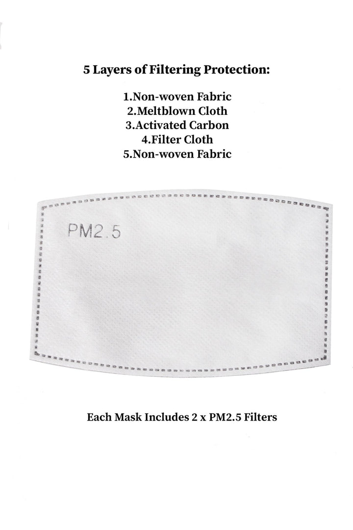 Adjustable Solid Face Mask with Two PM2.5 Filters