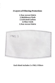 Adjustable Solid Face Mask with Two PM2.5 Filters